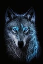 Magic frost wolf with blue eyes on black background. Generative AI Royalty Free Stock Photo