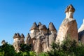 Magic fungous forms of sandstone in the canyon near Cavusin village, Cappadocia