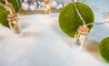 magic garland - Toy Christmas trees in glass jars and green grass balls, on a blue background. a glass casket with
