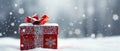 The Magic of Giving: A Look at Holiday Giving