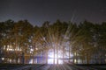 Magic glow in night forest. flash of light at night through the trees. clear night sky with stars over dark forest. Royalty Free Stock Photo