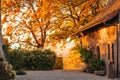 Magic golden light over old small cosy house