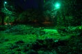 Magic green illuminated rock garden in the park Royalty Free Stock Photo