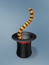 Magic hat with tiger tail Royalty Free Stock Photo