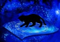 Magic horoscope with black cat and stars like astrology concept