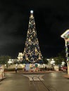 2021 Magic Kingdom Christmas Tree, Orlando, Florida