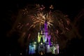 Magic Kingdom firework 2