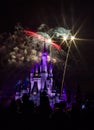 Magic Kingdom fireworks 7 Royalty Free Stock Photo