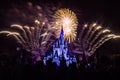 Magic Kingdom fireworks 9 Royalty Free Stock Photo