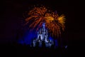 Magic Kingdom fireworks 15 Royalty Free Stock Photo