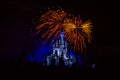 Magic Kingdom fireworks 15 Royalty Free Stock Photo