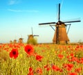 Magic landscape with a field of poppies and wind Mills on a sunn