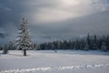 Magic landscape of the winter mountains after snow storm Royalty Free Stock Photo