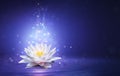 Magic Lotus Flower With Fairy Light