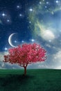 Magic pink tree with moon, stars and nebula over night sky with copy space Royalty Free Stock Photo