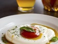 Magic of Melted Mozzarella. A dish of irresistible dairy elegance Royalty Free Stock Photo