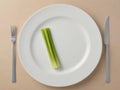 The magic of minimalism: fresh celery, cutlery and a unique view from above