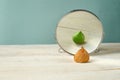 Magic mirror who is the fairest in the land. Royalty Free Stock Photo