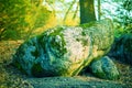 Magic Mossy Boulder