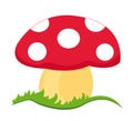 Magic mushroom Royalty Free Stock Photo