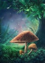 Magic mushroom forest