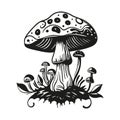 Magic mushroom nature vector silhouette black line contour drawing with funguses Royalty Free Stock Photo