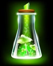 magic mushrooms with potion in laboratory flask