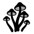 Magic mushrooms drawing