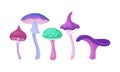 Magic Mushrooms Vector Set. Fairy Colorful Fungi Collection.