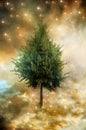 Magic mystic tree of life in divine sky and stars Royalty Free Stock Photo