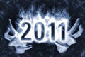 Magic New Year 2011