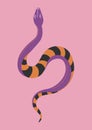 Serpent with stripes, snake magic reptile creature