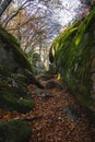 Magic orange beech forest in autumn, bosque de les Roques Encantades in Gorrotxa, huge green stones in forest in Catalonia, Spain