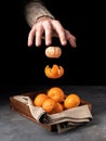 Magic peeling of mandarin. Flying tangerines