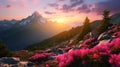 pink rhododendron flowers on summer mountain Royalty Free Stock Photo