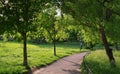 Summer landscape. Alley in the park. Magic place. Relaxation corner