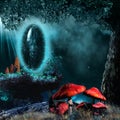 Magic portal and red mushrooms