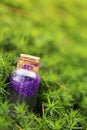 Magic Potion.Bottle with purple shiny glittering liquid in green moss on blurred green forest background.Magic and fairy