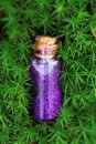 Magic Potion.Bottle with purple shiny glittering liquid in green moss .Magic and fairy tales concept.