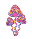 Magic psychedelic mushrooms. Vector