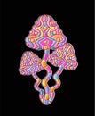 Magic psychedelic mushrooms. Vector