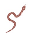 Magic snake in boho style with moon. Mystical symbol in a trendy minimalist style. Esoteric vector illustration Royalty Free Stock Photo