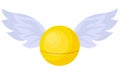 Magic Snitch. Quidditch Hogwarts School. A magical item. Ball with wings..