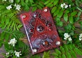 Magic spell book of green witch with herbs on altar table