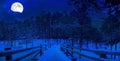 Magic starry night with full moon in winter forest. Wooden pathway covered in snow in pine forest. Coniferous forest with footpath