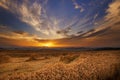 Magic sunset and ripened grain.