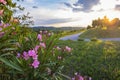 Magic sunset in Vipava valley Royalty Free Stock Photo