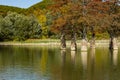 The magic of swamp cypress Taxodium distichum appears in the fall. The red and orange cypress needles are reflected Royalty Free Stock Photo