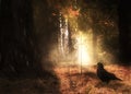 Magic sword in the autumn forest Royalty Free Stock Photo