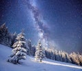 Magic tree in starry winter night